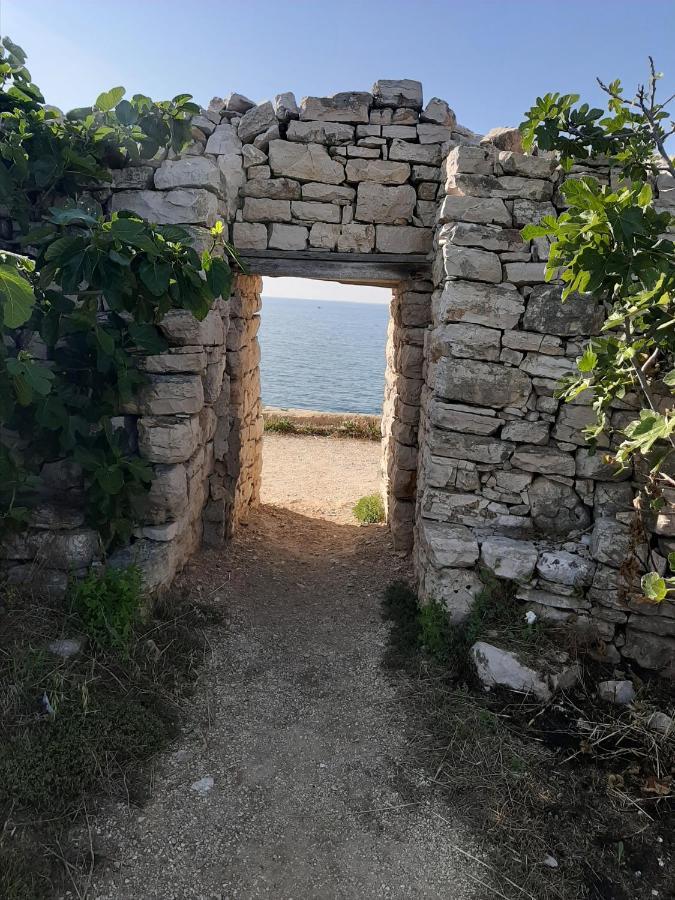 Agorà Bisceglie Acomodação com café da manhã Exterior foto